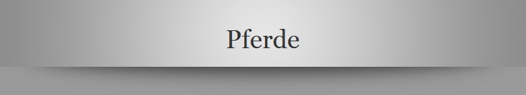 Pferde